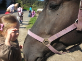 Playing with a Four-Legged Friend