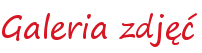 Galeria zdjęć