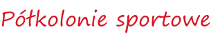 Półkolonie sportowe