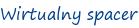 Wirtualny spacer